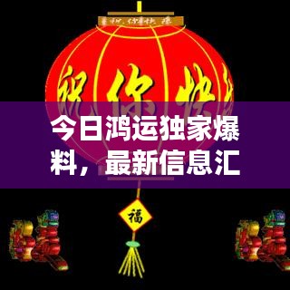 今日鸿运独家爆料,最新信息汇总
