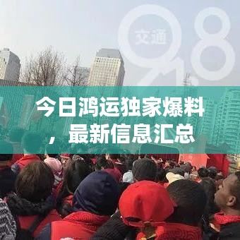 今日鸿运独家爆料,最新信息汇总