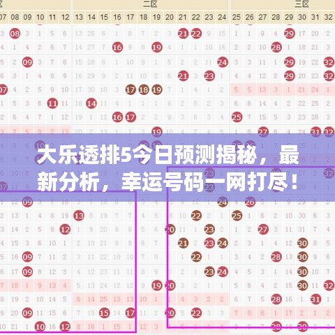 大乐透排5今日预测揭秘,最新分析,幸运号码一网打尽!
