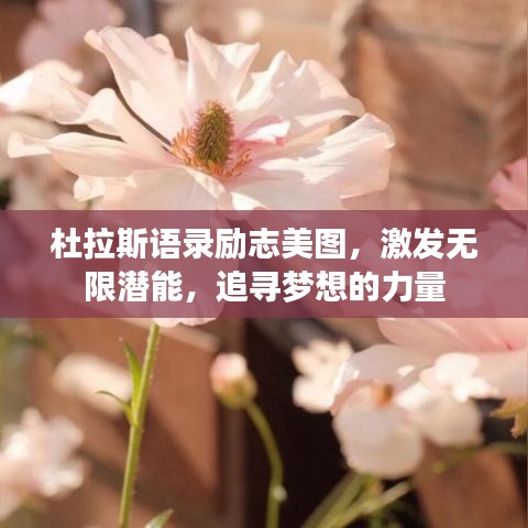 杜拉斯语录励志美图,激发无限潜能,追寻梦想的力量