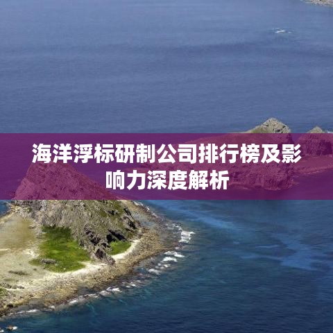 海洋浮标研制公司排行榜及影响力深度解析