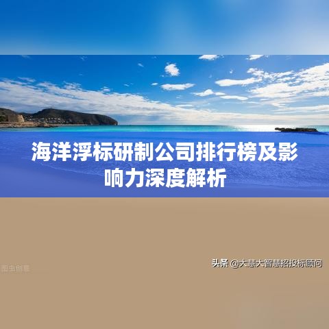 海洋浮标研制公司排行榜及影响力深度解析