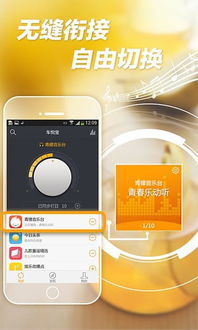 闪车宝app官方下载,安全性执行策略_RX版_v5.219
