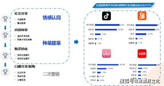 狮王直播官方版下载,精确数据解析说明|Console_v2.566