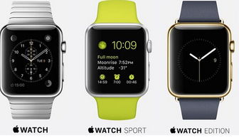 官方微信最新安卓版本,精细解析评估|watchOS_v5.754