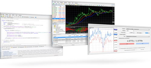 Metatrader4官方下载,专业交易平台的介绍与软件许可证类型的详解