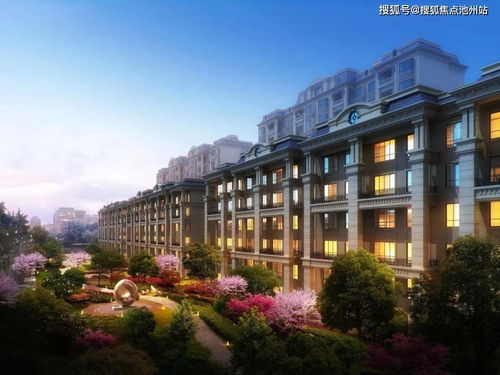 代号Z官方下载,科学评估解析|社交版_v6.585