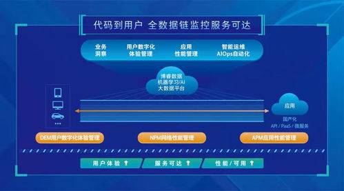 假猪90版本改版，数据导向实施策略_9DM_v6.838，创意工作的新纪元