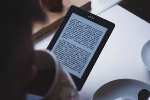911助手官方下载,快捷问题解决方案 Kindle_v2.540