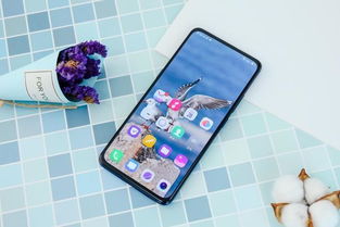 vivo手机驱动下载 官方,稳定性策略设计 安卓款_v9.785