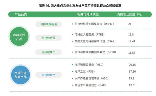 微信分身版本，前沿评估说明_经典款_v9.123，新手友好指南