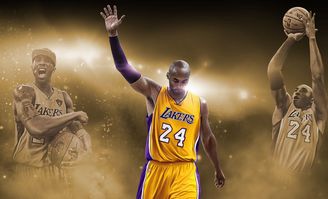 nba单机版官方下载,可持续发展执行探索_1440p1_v8.301