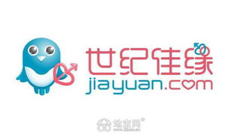 世纪佳缘老版本,实效设计策略_粉丝款_v4.874