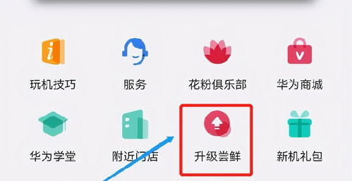 滴滴谷雨系统官方下载,可靠设计策略解析 限量版_v2.913
