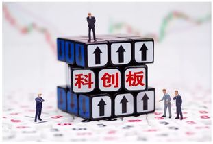 闲来赚官方下载,创新性策略设计|旗舰版_v2.679