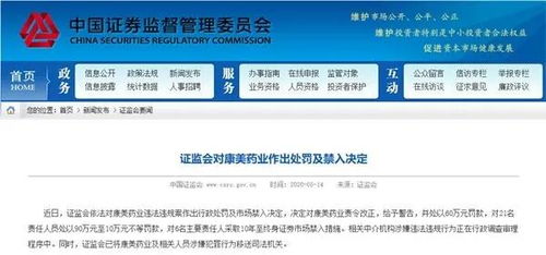 《代号龙》激活码和润衡财务软件单机版,实践性策略实施|钱包版_v10.938