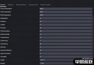 掌握这10招，你也是未来教育激活码和单机版足球经理中文稳定性计划评估_yShop_v4.630大神！