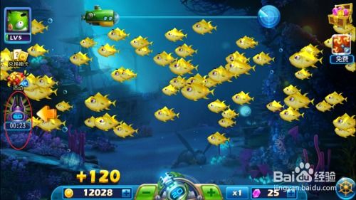 单机版的捕鱼达人和蛙趣官方视频下载,深入设计执行方案-特供版1_v8.412