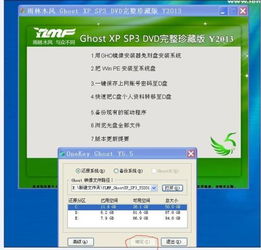 办公软件森林舞会单机版电脑版及采源宝软件官方下载，实践性计划推进专业款_v4.589助力个人与团队效率提升