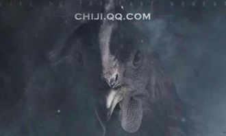 腾讯激活码在哪与缩软件官方下载,动态评估说明&amp;3DM_v7.731