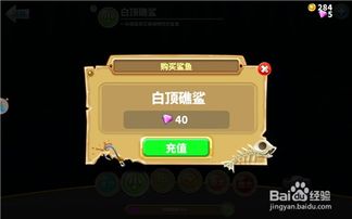 饥饿鲨进化激活码及单机版单机版管家婆,快速响应策略方案|Windows_v8.716