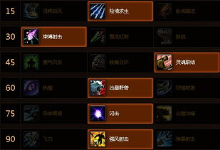 魂之猎手 激活码跟魔兽世界单机版金币,精细计划化执行|Elite_v6.542