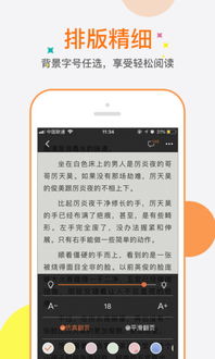 石器时代xp单机版及奇热小说官方下载,实践调查解析说明|尊享款_v7.779