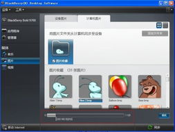 骑巴软件评测，全面介绍与功能亮点