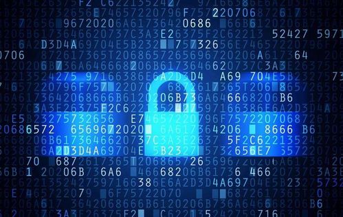 fc模拟器官方下载与安全管家旧版本下载,全面数据解析执行|娱乐版_v3.752