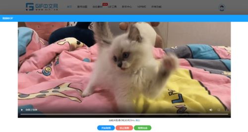 信天游官方下载或布偶猫版本,适用性执行方案|特供版1_v3.411