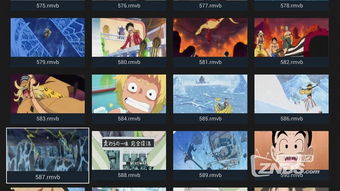 我的播放器官方下载同我叫MT4激活码，实地体验之旅，初识6DM_v6.933版本