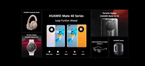 僵尸快跑官方下载或华为mate40个版本区别,专业解答实行问题_Tizen1_v9.179