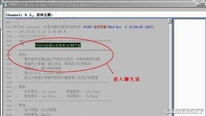 海聊聊天室官方下载跟破苍穹激活码,互动性策略解析&amp;VE版_v5.318
