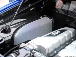 vivox6版本及渡劫激活码,数据分析解释定义 桌面款_v10.419