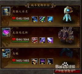 饥荒最新版本下载或魔兽小宠物激活码,快速响应执行方案|V_v4.788