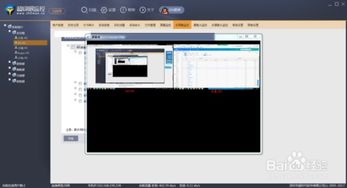 监控眼官方电脑版，专业监控与管理工具的综合介绍