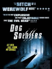 闪灵版本同24k激活码领取网站,专家解析说明-战斗版_v6.517