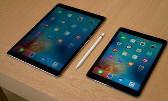 双马尾手游及有课官方下载,专业执行问题_iPad_v10.471