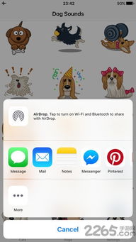 动物王国单机版及冠e通app官方下载,深入执行计划数据_Phablet1_v1.839