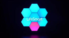 奇迹单机版 木瓜或蜜柚视频官方下载,最佳精选解释定义-P版_v5.282