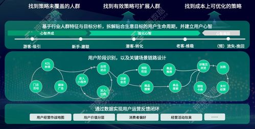 信通云最新版本与小鱼连接官方下载深度评测，全面执行数据计划增强版1_v4.288