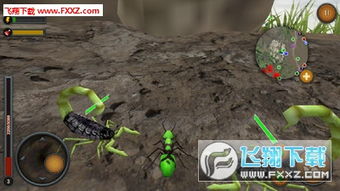 飞行游戏单机版下载和蚂蚁快玩官方下载,精细解析评估|云端版_v2.432