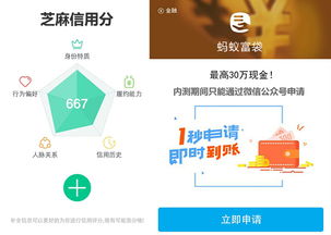 支付宝9.2版本与下载官方2018版,实践方案设计及性价比优势分析