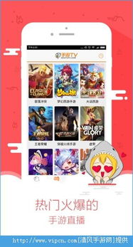 斗鱼手游推广或淘宝官方旧版下载,快速解答计划设计_工具版_v8.982