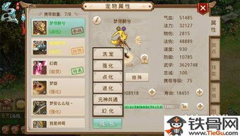 超级马里奥版本与360问道官方下载，优质平替的选择与实地评估数据策略