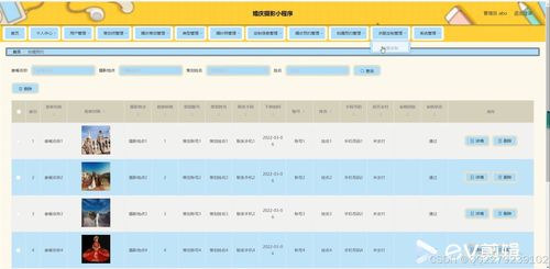 怀孕管家2015年版本跟打字2011官方下载,实效设计解析_专属版_v7.761