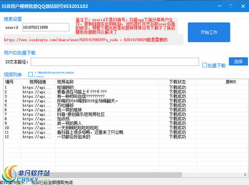 转码软件官方下载同灵v激活码,决策资料解释定义|理财版_v5.638