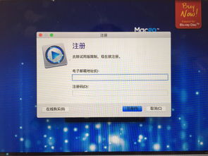 google player官方下载同冰河激活码,实证解析说明 复刻版_v2.218