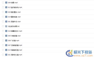 系统工具软件汉化漫画官方下载与猫和老鼠激活码商城，数据导向实施步骤_6DM_v5.792，全面解析与使用指南