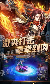 飞箭如蝗 第3页
